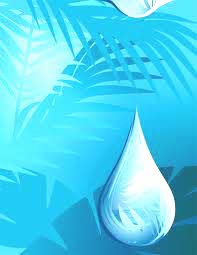 VG Salt Nicotine - 1 Gallon